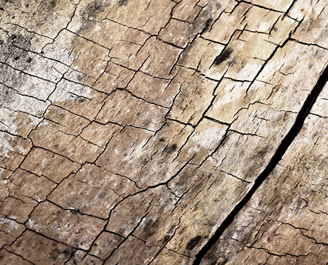 LANDS Grey Loop Natural Texture (Wood) Commercial Carpet Tiles
