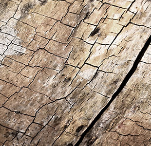 LANDS lekki szary pętla naturalna tekstura (drewno) Handlowe płytki dywanu