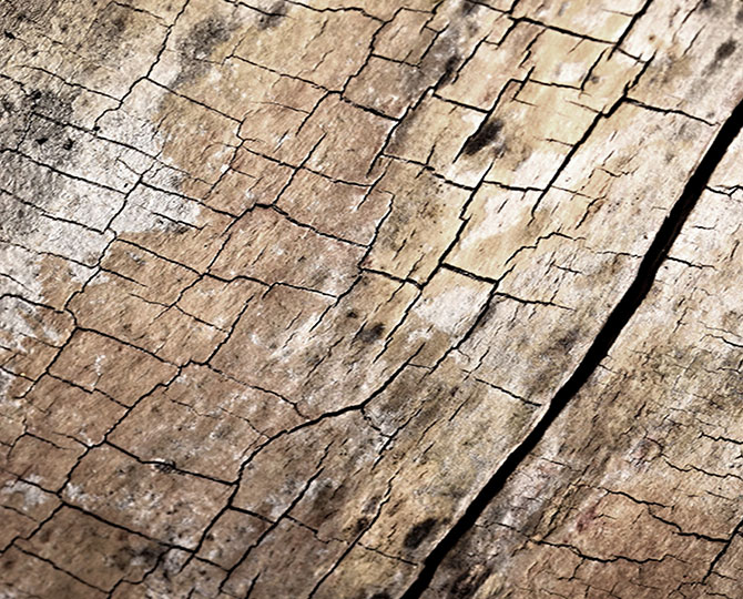 LANDS lekki szary pętla naturalna tekstura (drewno) Handlowe płytki dywanu