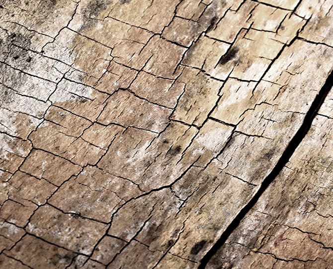 LANDS Niebieska Pętla Naturalna tekstura (drewno) Handlowe płytki dywanu