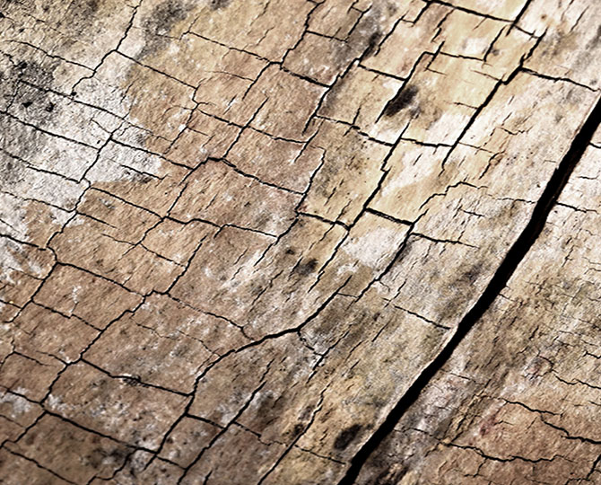 LANDS Brown Loop Natural Texture (Wood) Commercial Carpet Tiles